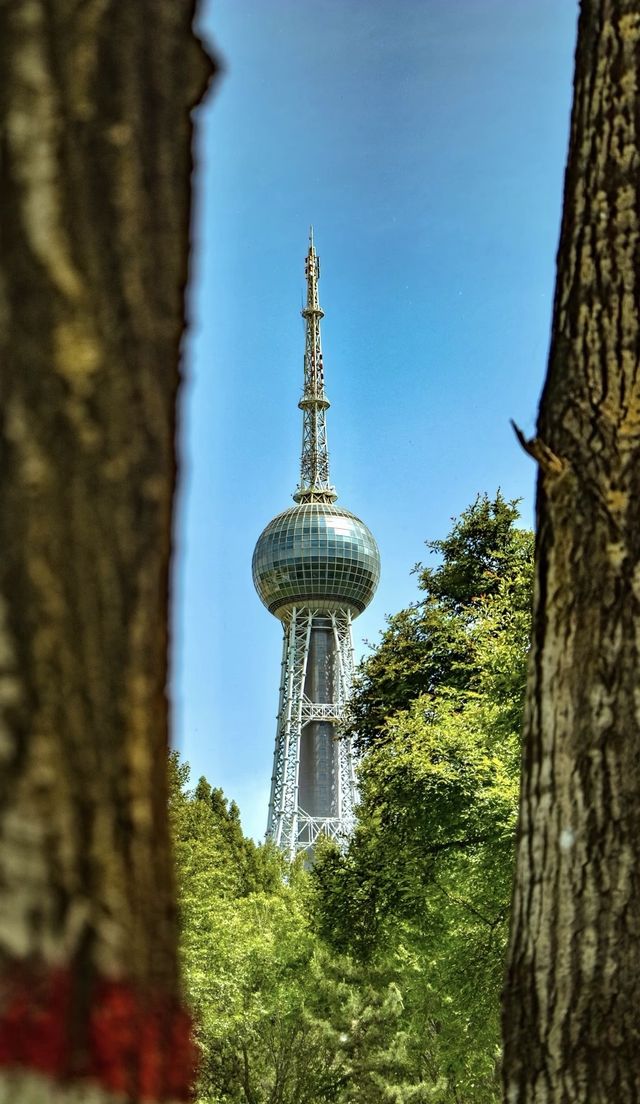 藏不住了！西寧植物園竟成影視劇取景地