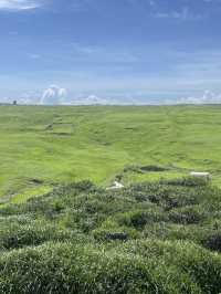 🌿 Dongji Island: Where Emerald Meadows Meet Endless Azure Skies! ☁️