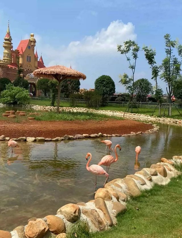 2千元3天玩轉常德動物園|這份超全攻略請查收! 2千元3天玩轉常德動物園|這份超全攻略請查收!