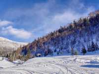 雪嶺凝霜綴瓊枝，尚志霧淞赴一場冬日詩行