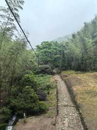 衢州仙霞關|青石古道印滄桑 蒼松迎客越千年