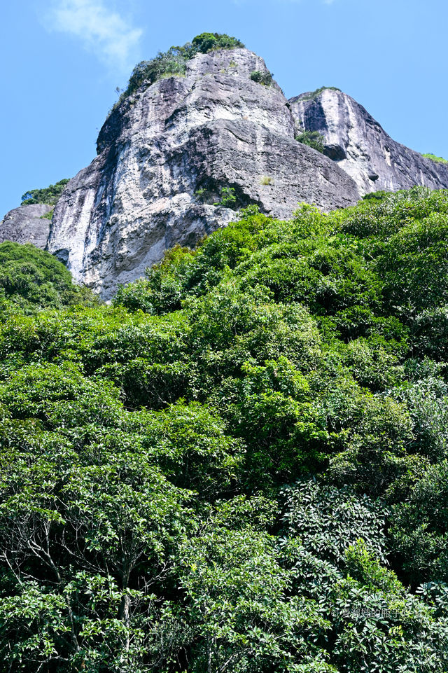 漳州靈通山｜我帶5歲娃來爬了！附親子攻略