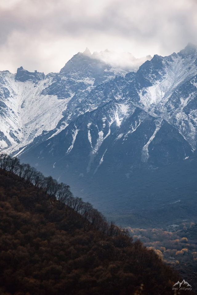 西寧的秋：一半金黃染高原，一半湛藍映山河