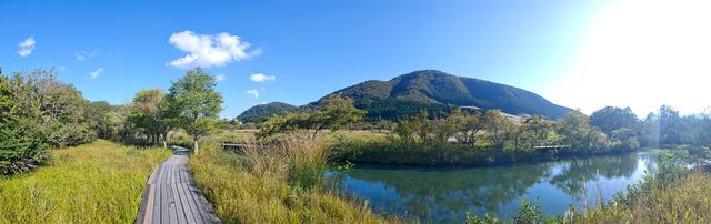 箱根濕生花園 —— 低調、但不可錯過的地方