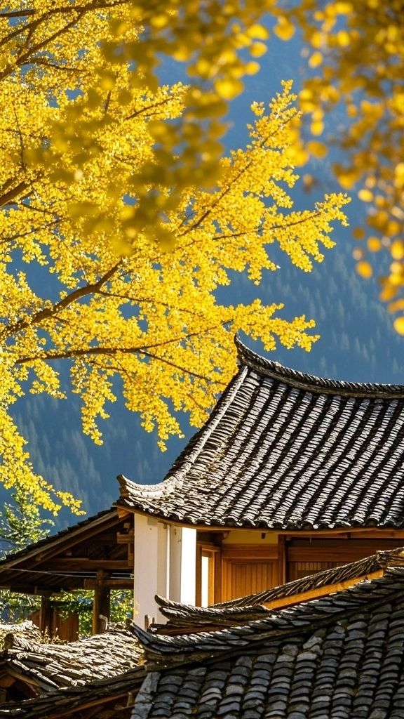 秋日騰衝，一半金色浪漫，一半大地煙火！