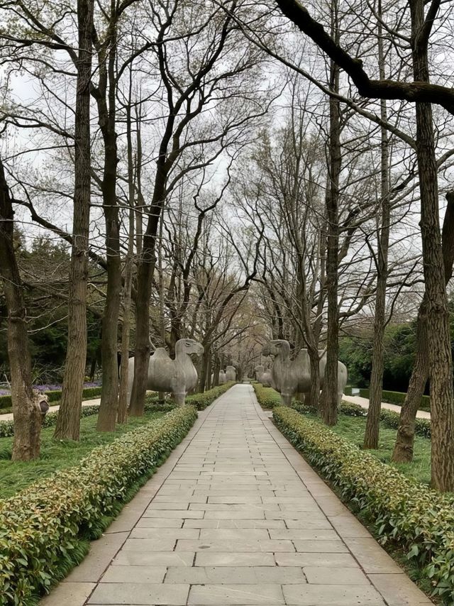 踏入明孝陵神道，歷史，觸手可及。