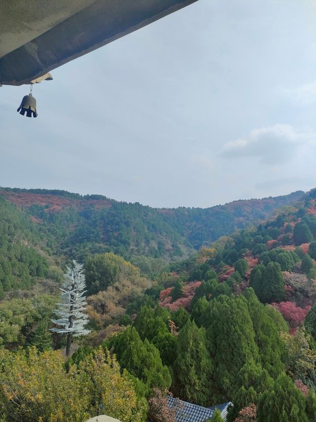 看萬山紅遍,層林盡染~濟南紅葉谷 看萬山紅遍,層林盡染~濟南紅葉谷