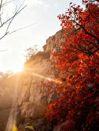 秋日邯鄲古建賞楓