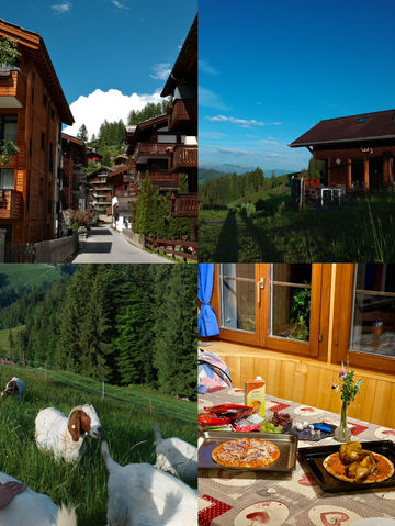 瑞士自駕探險 雪山瀑布任你行🚗