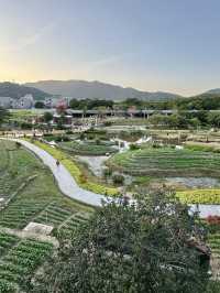 金灣木頭沖|走進童話世界