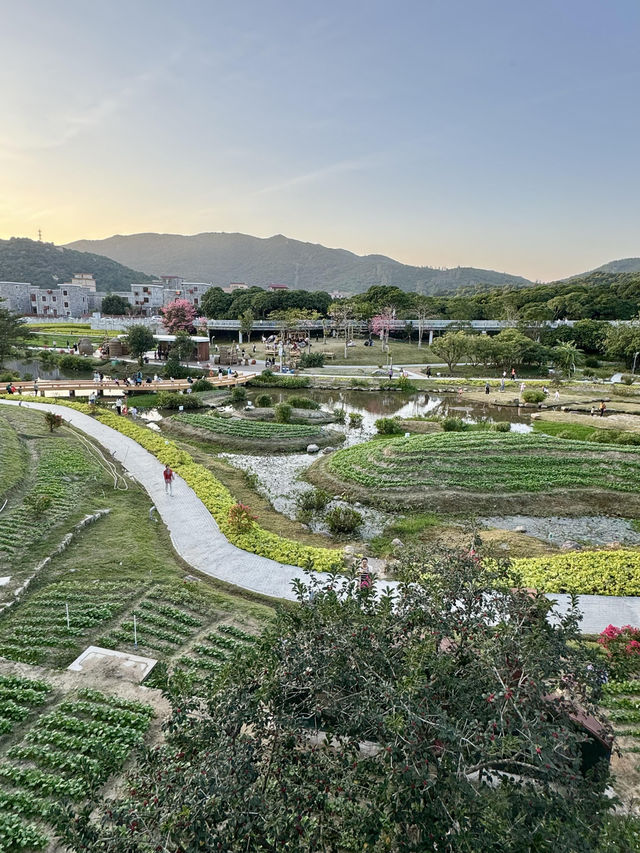 金灣木頭沖|走進童話世界 金灣木頭沖|走進童話世界