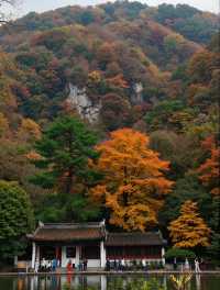 雲平山秋日仙境