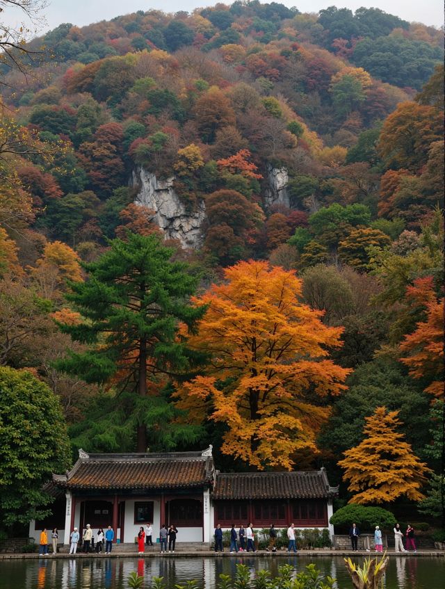 雲平山秋日仙境