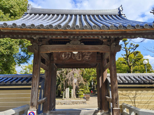 일본 후쿠오카 승천선사 사원—도심 속 숨은 절境의 완벽한 조화