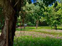 獨享靜謐花海秘境