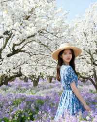 梨蘭同放宿遷三台山の春日限定花海美哭我了！