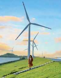 江蘇看海天花板!啟東黃金海灘保姆級攻略