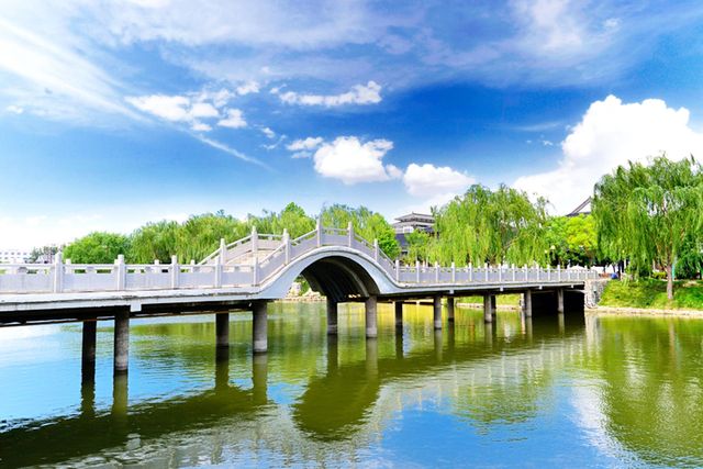 文藝青年德州攻略