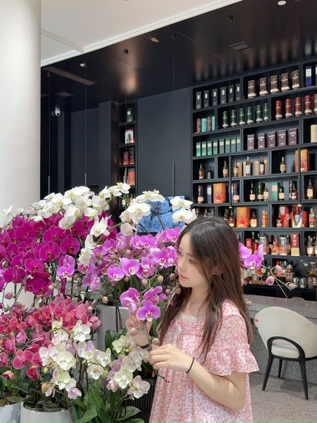 小眾玩法大公開 小眾玩法大公開