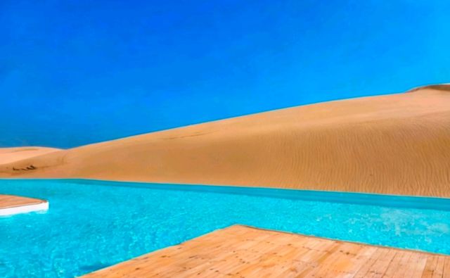 沙漠騎駝走天涯