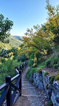 別再去香山了！北京免費紅葉秘境絕美