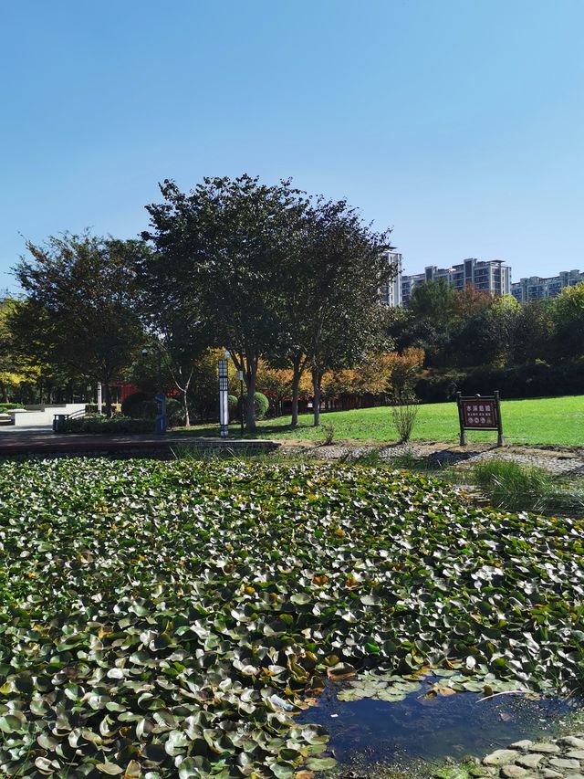 【河南省湯陰縣】城南公園。 【河南省湯陰縣】城南公園。