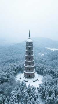 伊春森林木屋+野路子玩法全揭秘