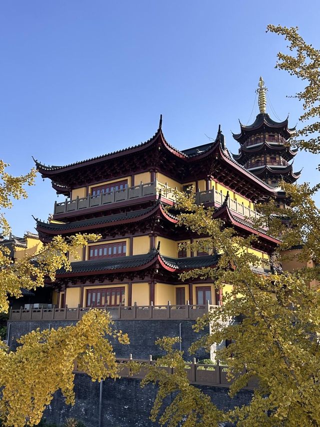 這可能是我在南京花得最值得的15塊錢…