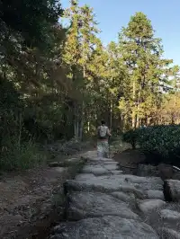 福建武夷山,徒步在最美茶道,看盡丹霞風貌