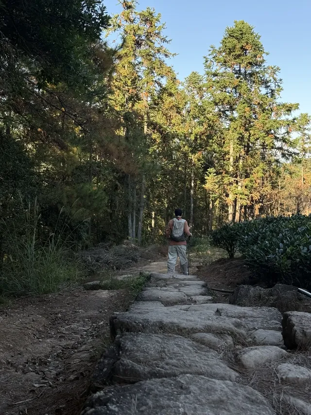 福建武夷山,徒步在最美茶道,看盡丹霞風貌 福建武夷山,徒步在最美茶道,看盡丹霞風貌