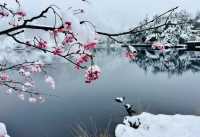 螺髻山瘋玩實錄：在雪地裡泡溫泉也太會了！