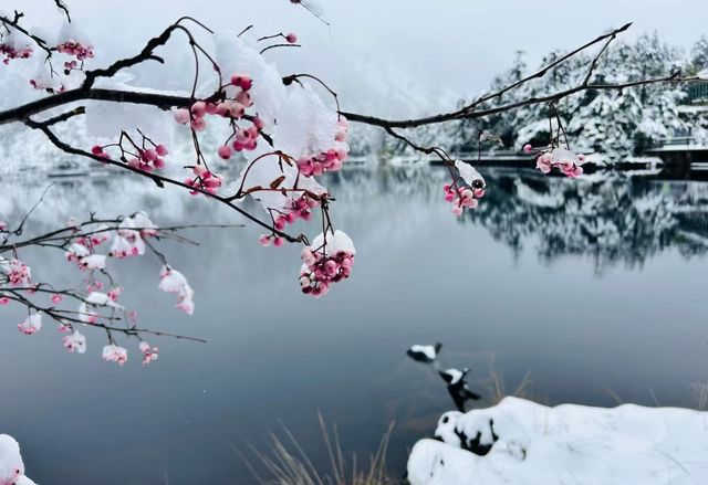 螺髻山瘋玩實錄：在雪地裡泡溫泉也太會了！