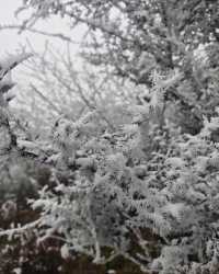 螺髻山瘋玩實錄：在雪地裡泡溫泉也太會了！
