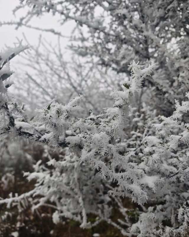 螺髻山瘋玩實錄：在雪地裡泡溫泉也太會了！
