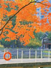 上海黃浦南園遊玩全攻略來了!!!