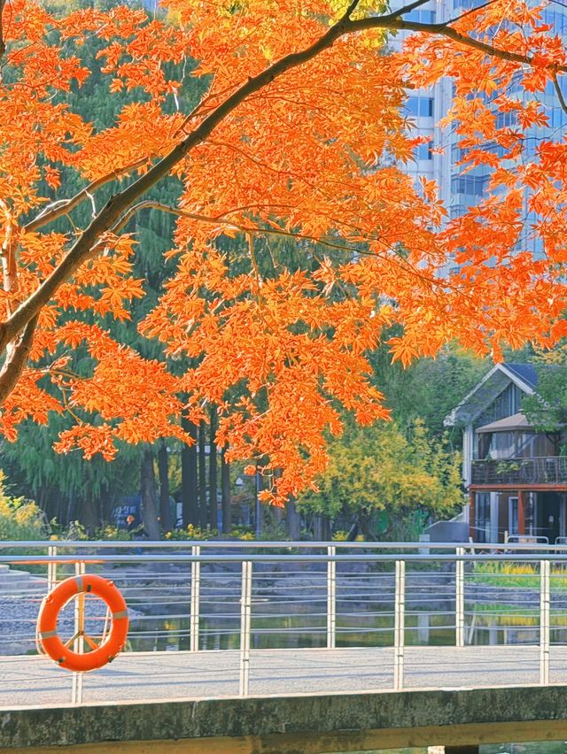 上海黃浦南園遊玩全攻略來了!!! 上海黃浦南園遊玩全攻略來了!!!