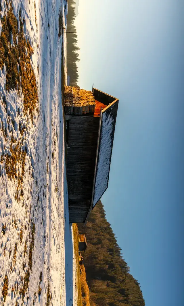 11.19雪後的慕尼黑南郊瘋狂了!!! 11.19雪後的慕尼黑南郊瘋狂了!!!