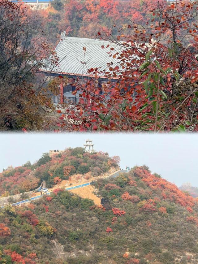 鄭州1h直達！0元賞紅葉的“小長城”美哭了