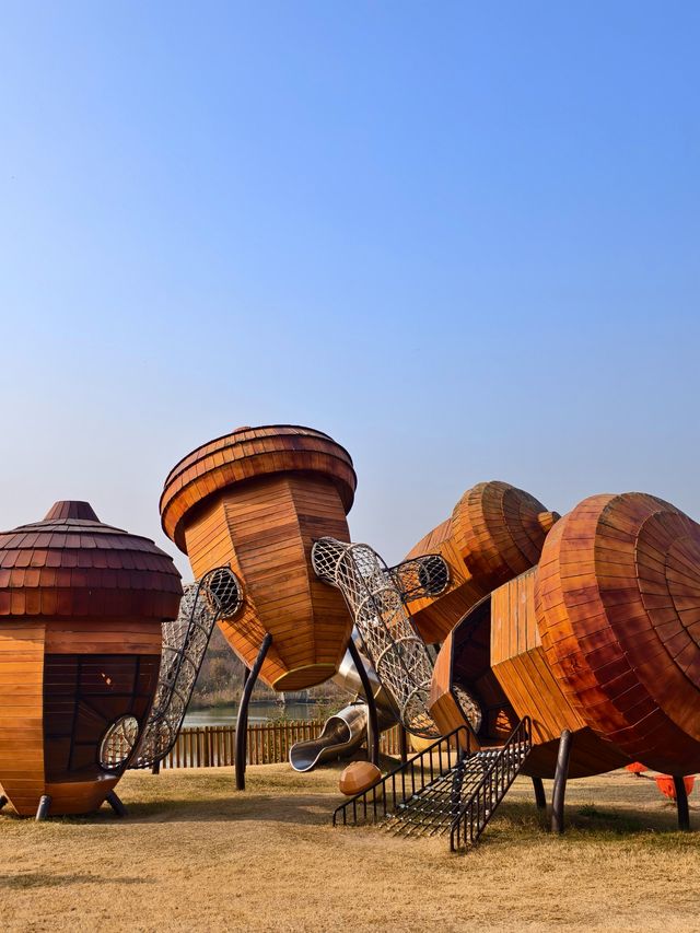 江蘇冬季的遛娃密碼一步到位不煩神