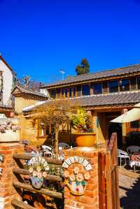 土瓜沖的“文藝復興”