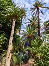 免簽摩洛哥等多國連遊攻略來啦