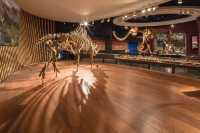 6000 元嗨玩上海!三天兩夜超詳細攻略