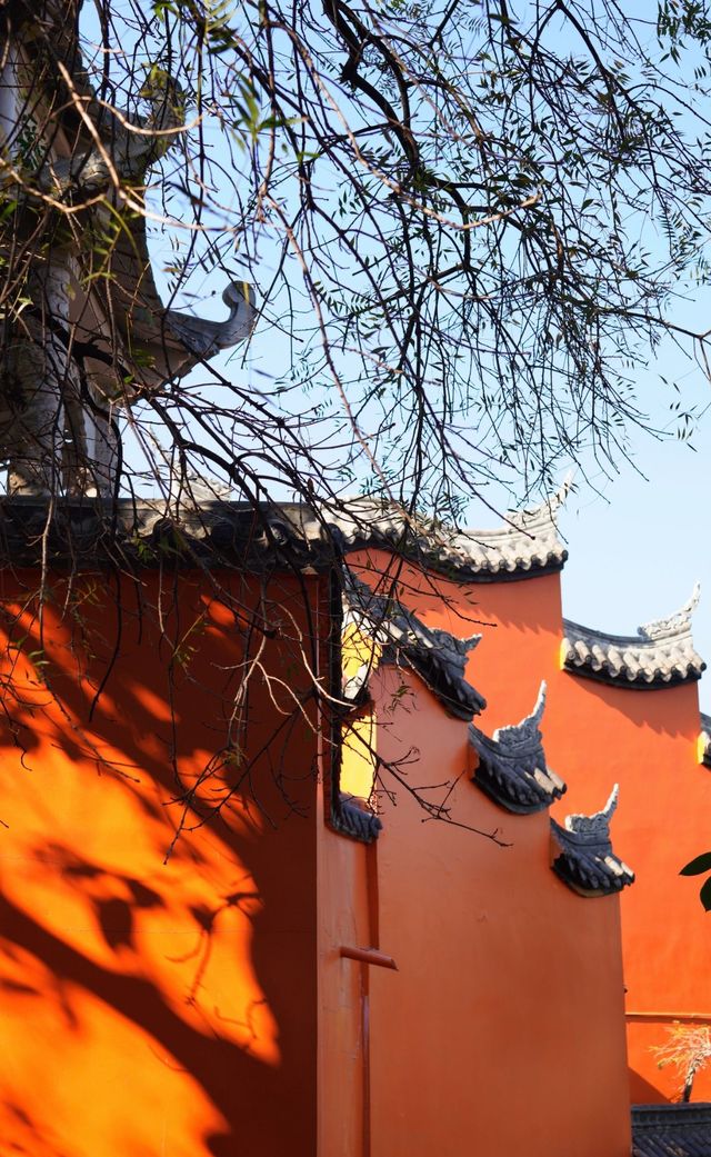 西昌,冬日的一抹秋 西昌,冬日的一抹秋