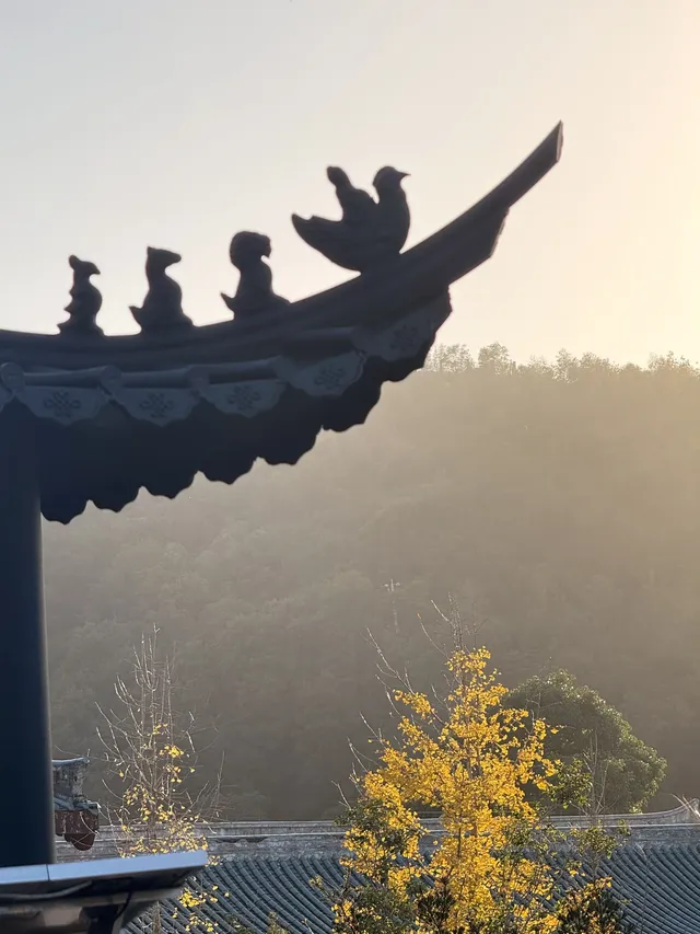 美得不像在莆田!朋友圈都在問的超絕秋景 美得不像在莆田!朋友圈都在問的超絕秋景