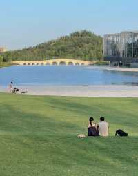 上海最好的地方都是免費的