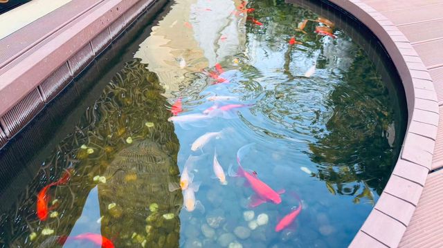成都家庭旅居天花板!月牙至臻熊貓套房,把童趣與暖陽搬進旅途 成都家庭旅居天花板!月牙至臻熊貓套房,把童趣與暖陽搬進旅途