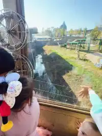 南昌周邊遊|遛娃天花板唯美動物世界