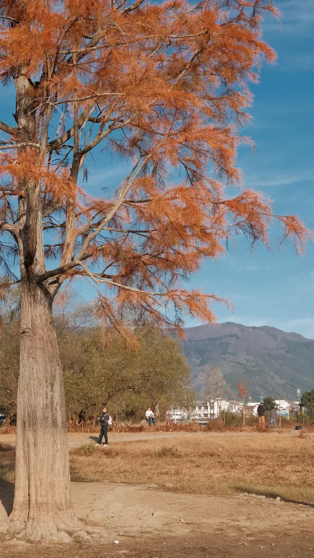 南京周邊遊——皖南的秋