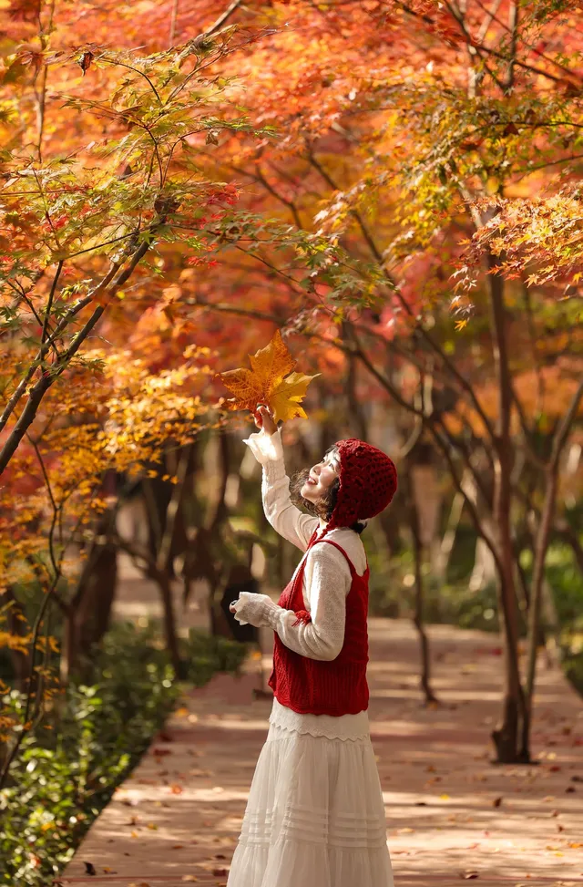 12·1南京棲霞山紅楓進入觀賞期～附路線～