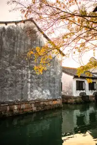 烏鎮什麼時候免門票?